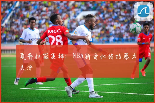 夏普扣篮集锦：NBA新晋扣将的暴力美学