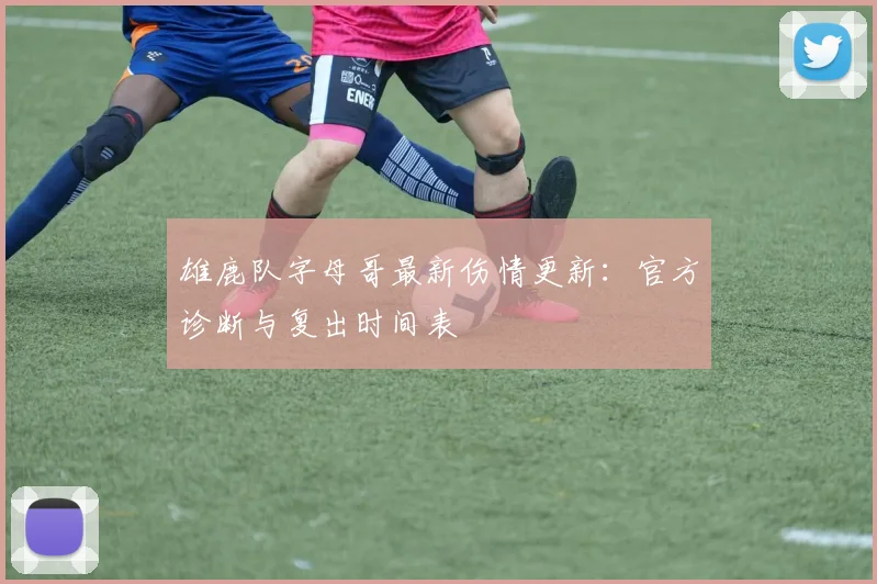 雄鹿队字母哥最新伤情更新：官方诊断与复出时间表